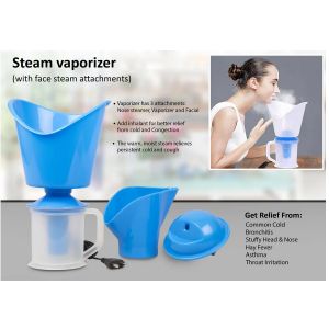 101-E300*Steam vaporizer with face steam attachments