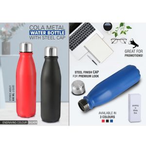 101-H198*Cola Metal water bottle with steel cap 600 ml approx 