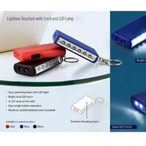 101-J59*Keychain with torch and 6 LED lamp