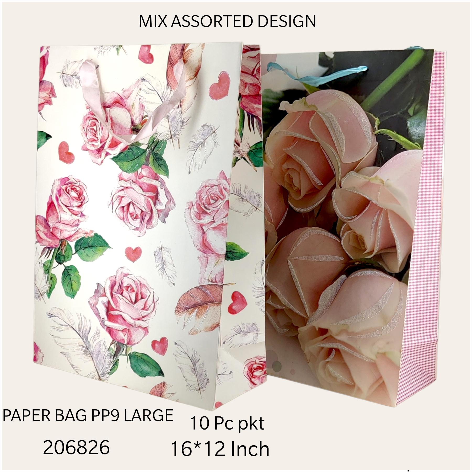 10 PC PAPER BAG  PP 9 LARGE*206826