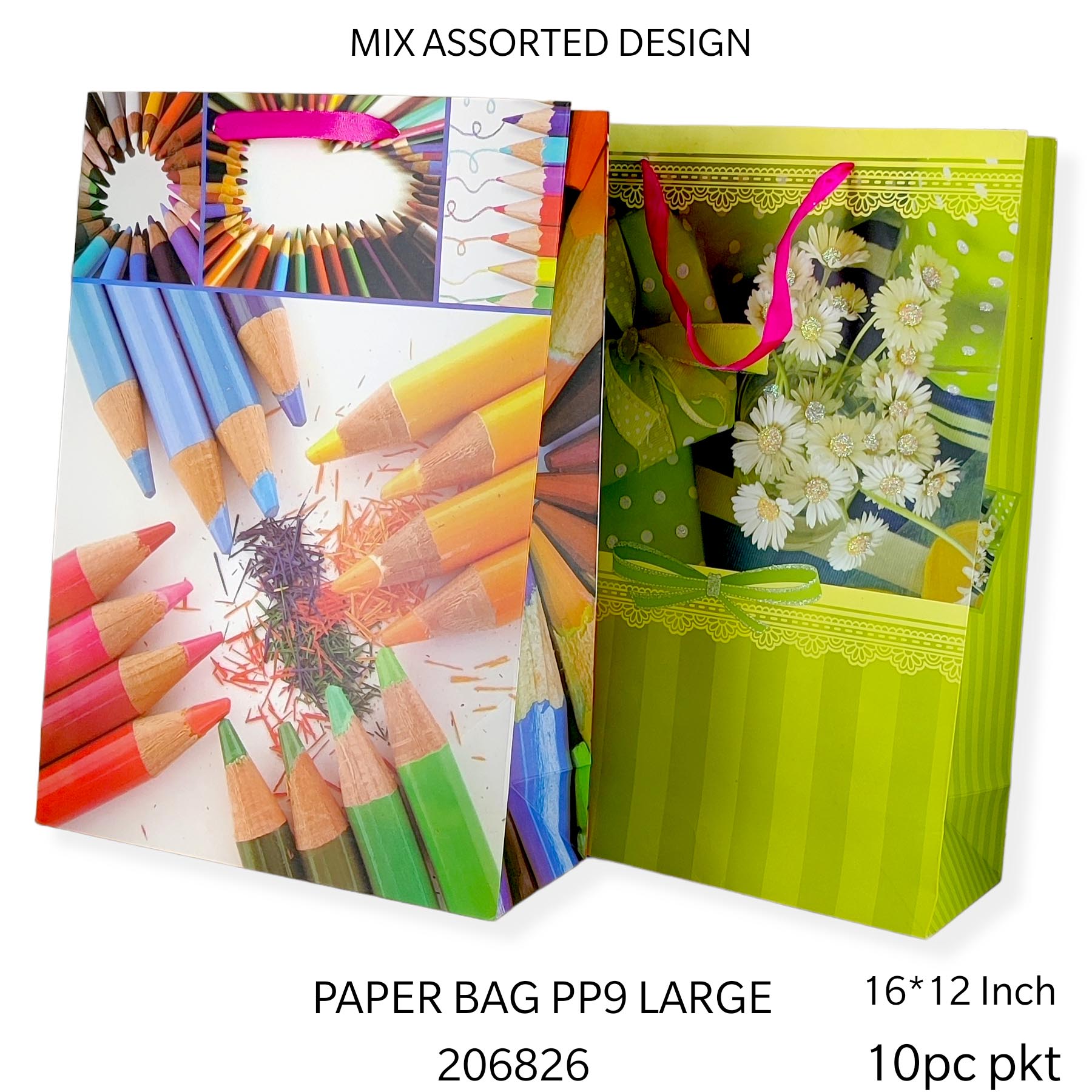 10 PC PAPER BAG  PP 9 LARGE*206826
