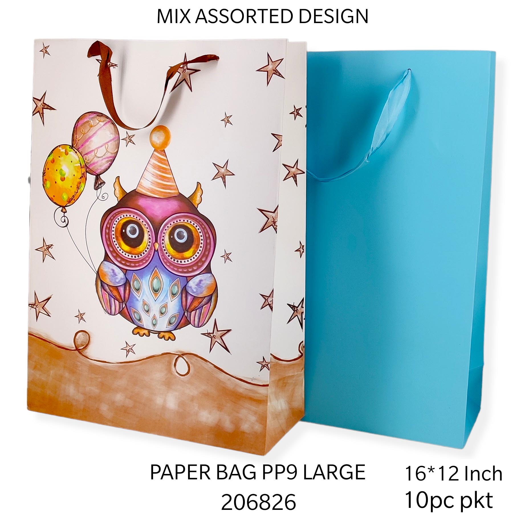 10 PC PAPER BAG  PP 9 LARGE*206826