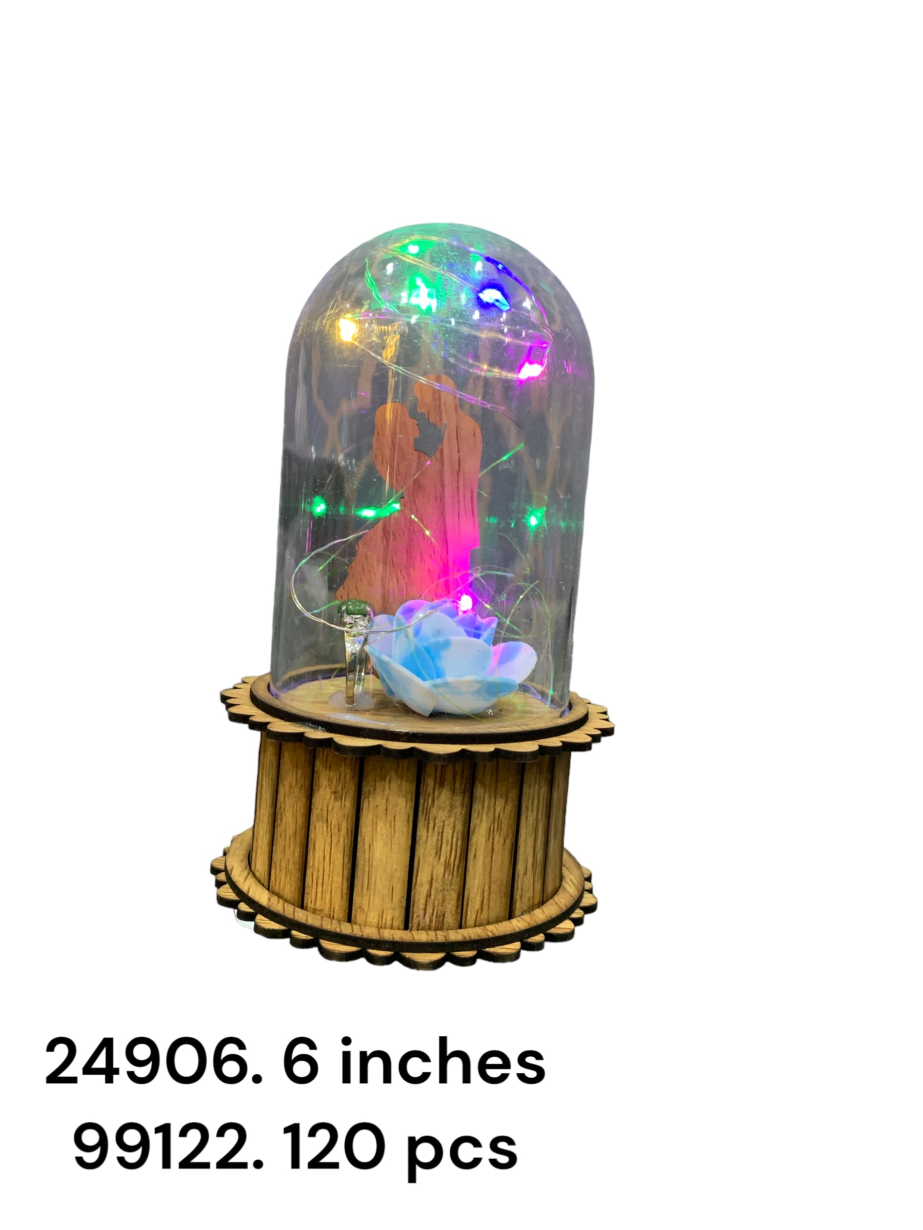 24906 (120)-SHOWPIECE