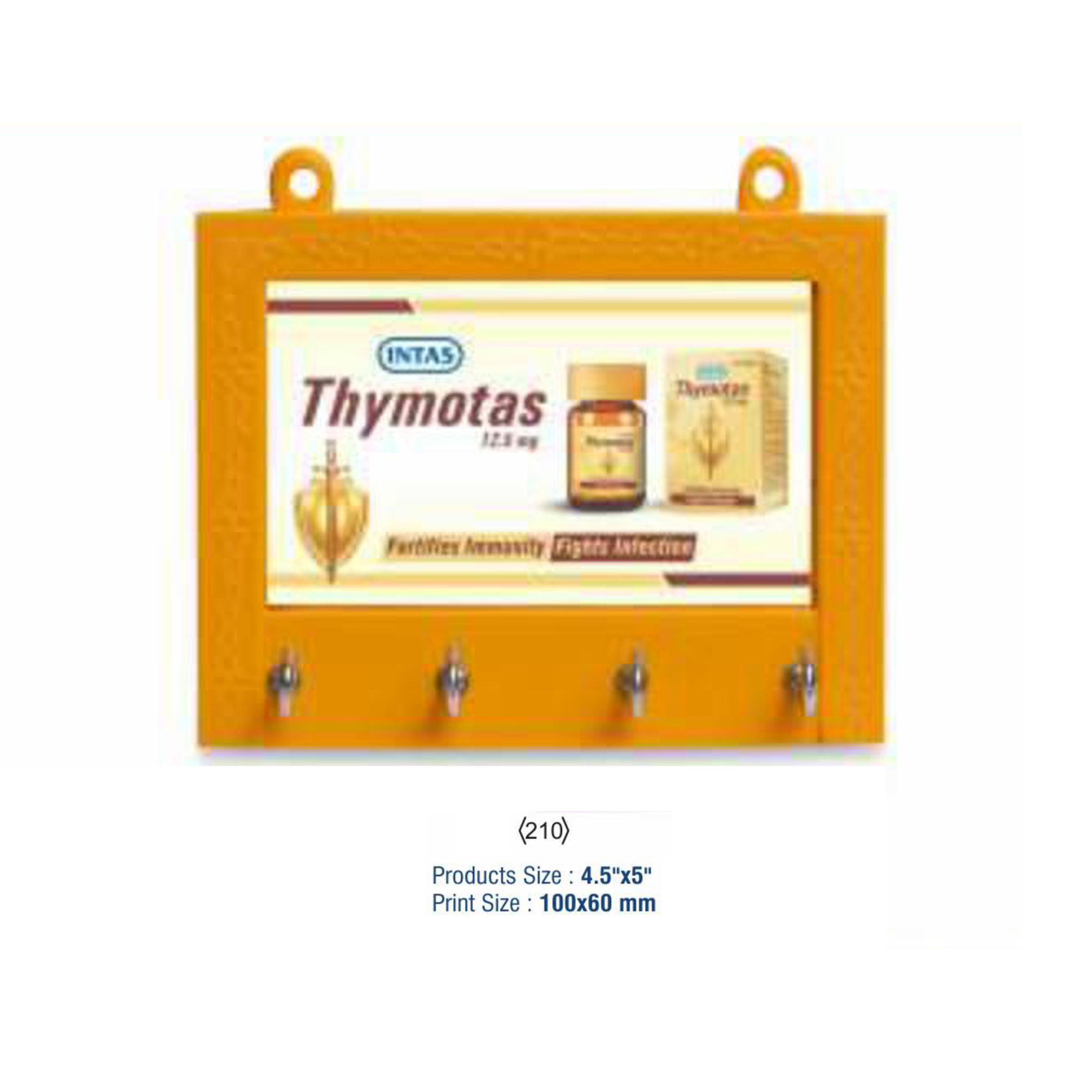 42025210*WALL HANGING UTILITY ITEM