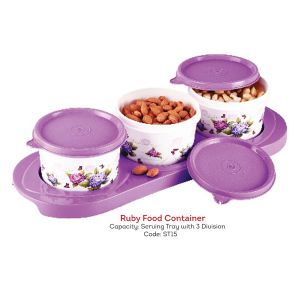 432021119 RUBY FOOD CONTAINER 