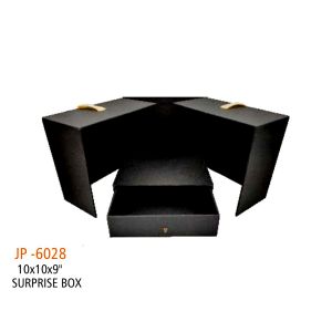 SURPRISE BOX JP6028