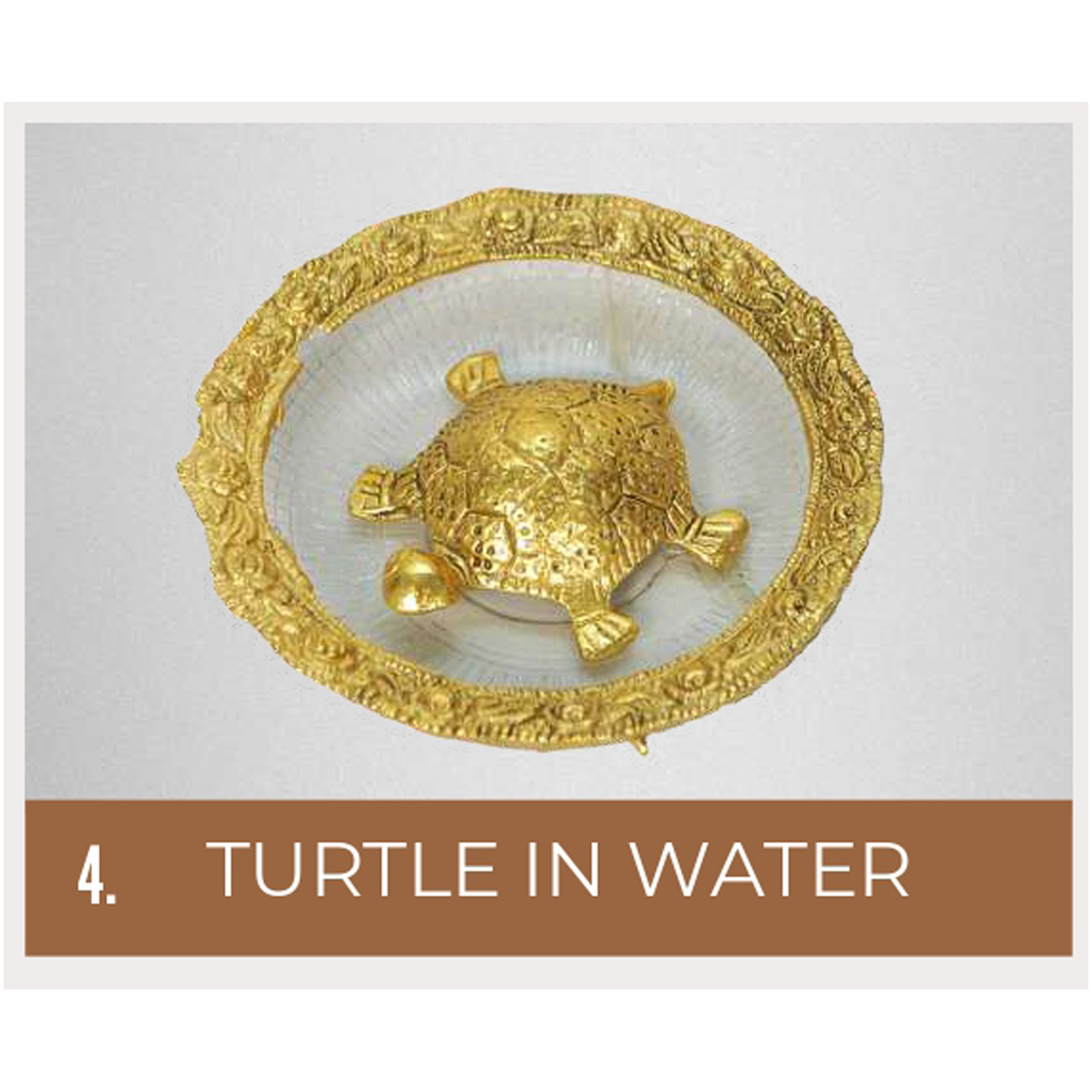822025DC04*TURTLE IN WATER