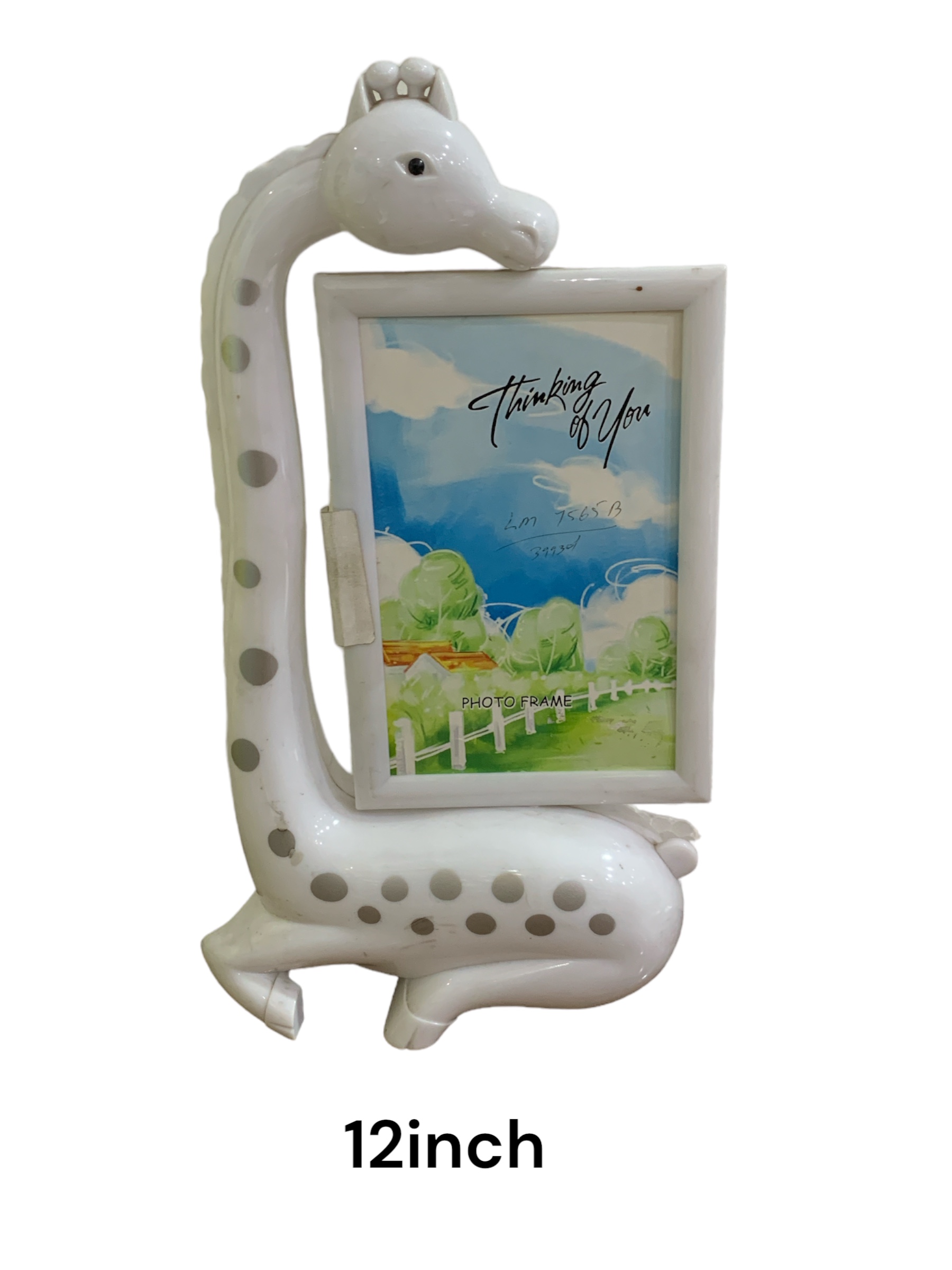 LM7565B (48)-LAMP WITH PHOTOFRAME